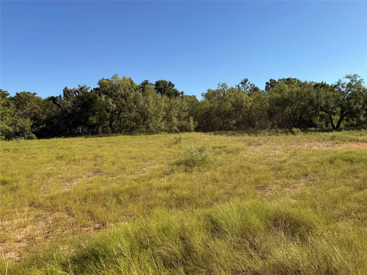 TBD St Hwy 153, Wingate, TX 79566 - #1