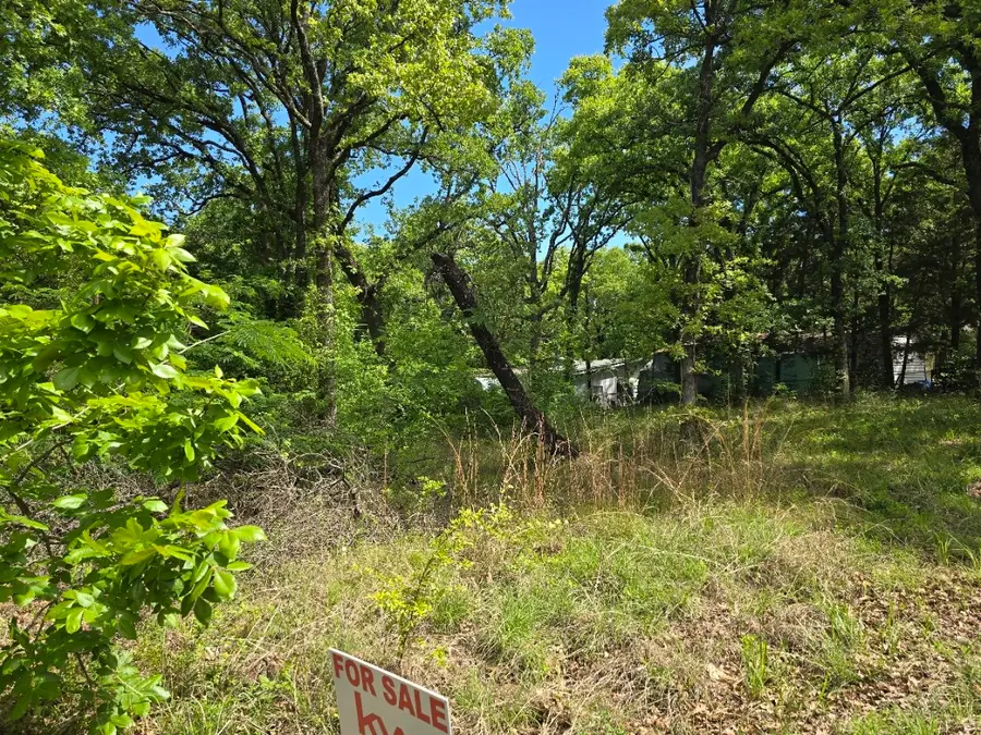 Lot 700 Shady Grove Road, Gun Barrel City, TX 75156 - #2