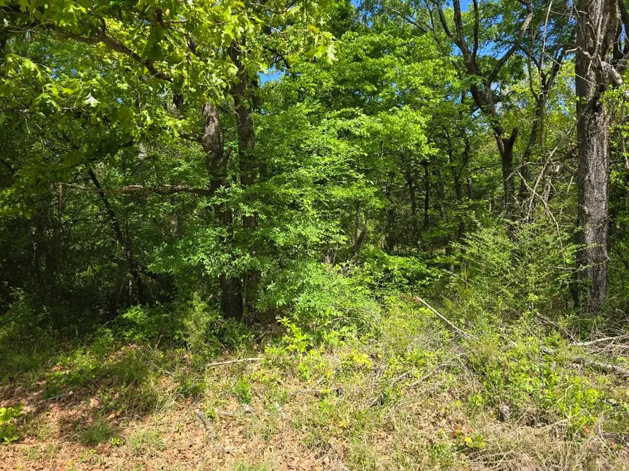 Lot 700 Shady Grove Road, Gun Barrel City, TX 75156 - #3