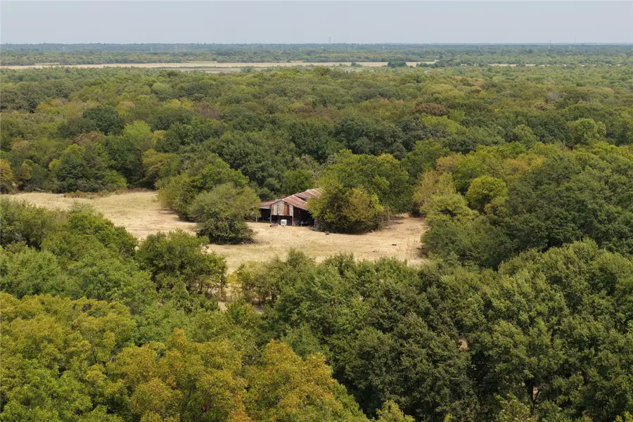 455 James Road, Ellis, TX 75125 - #2