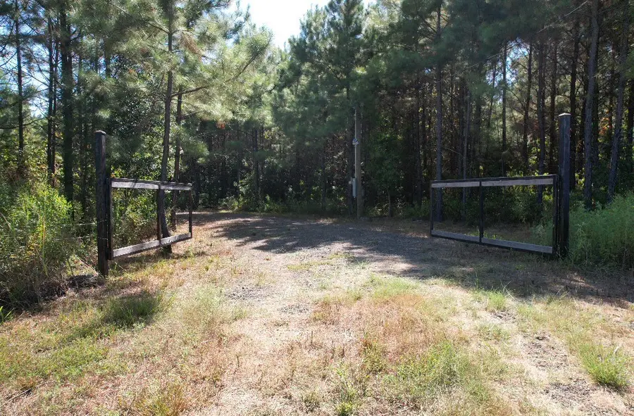 TBD Pr 8263, Broaddus, TX 75929 - #2