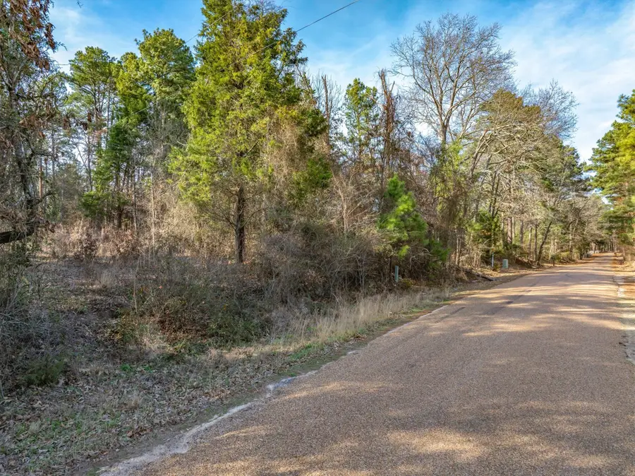 3.77 Acres County Road 3520, Brownsboro, TX 75756 - #2