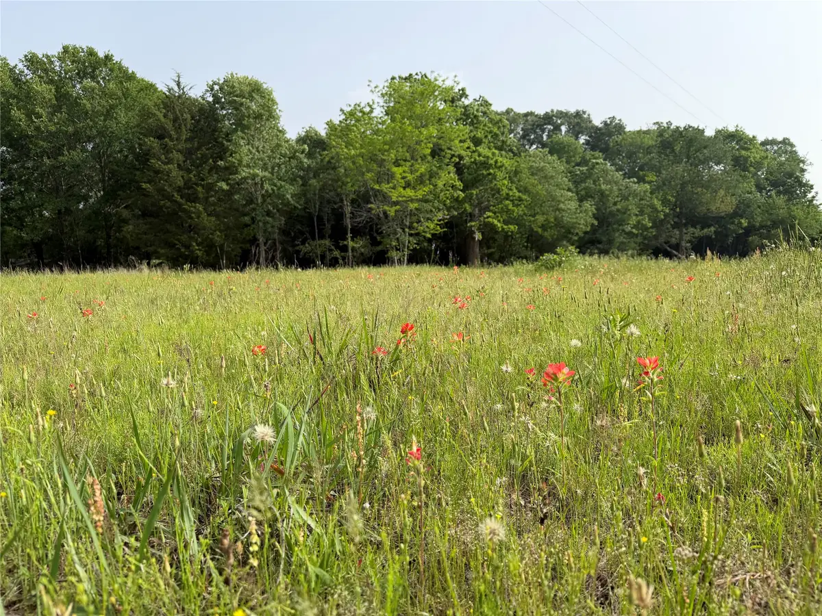TBD County Road 1130, Cumby, TX 75453 - #1