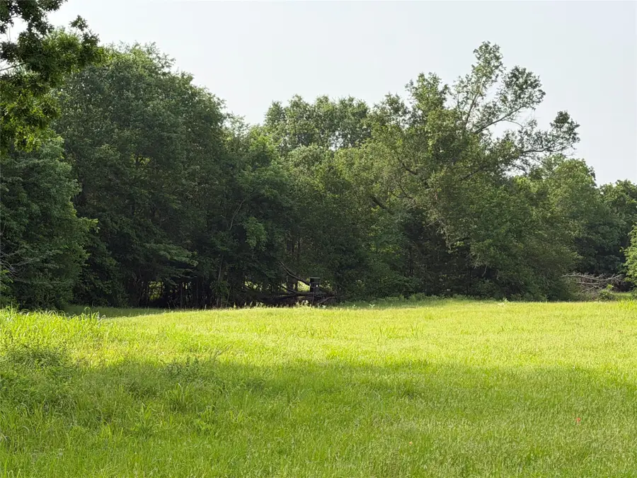 TBD County Road 1130, Cumby, TX 75453 - #3