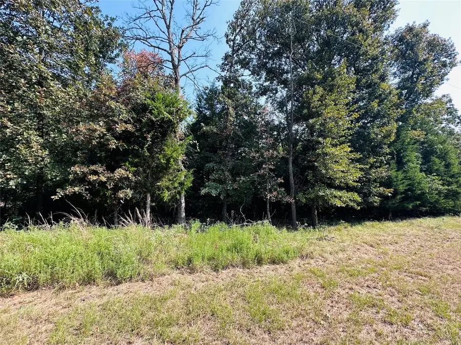 12-14 Pedernales North, Athens, TX 75752 - #2