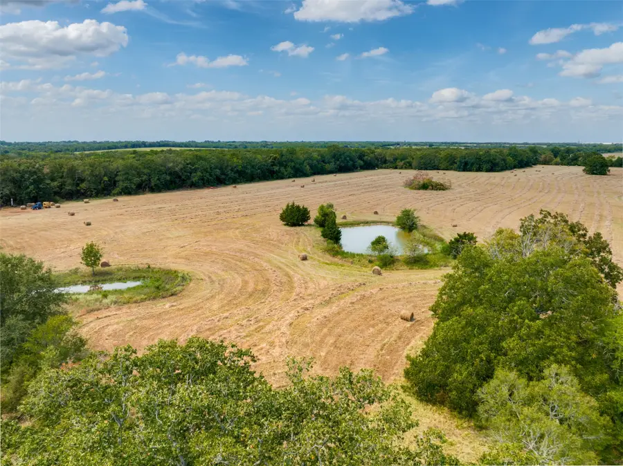 TBD County Road 1305, Bogata, TX 75417 - #3