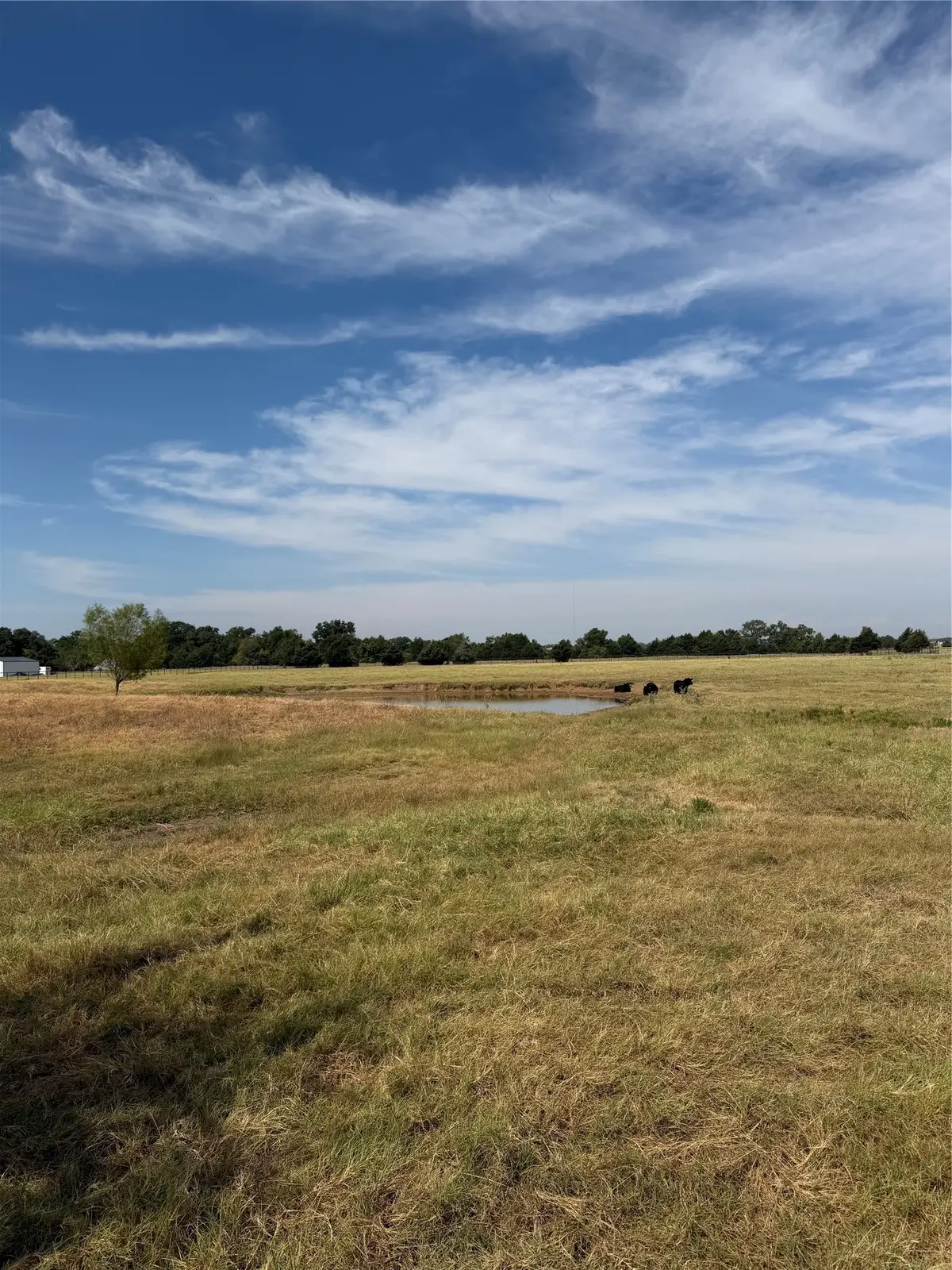 215 Batey, Collinsville, TX 76233 - #1