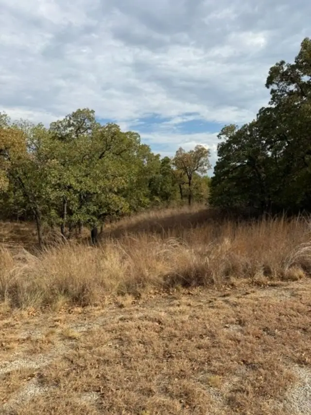 127 Hoppe Drive, Nocona, TX 76255 - #1
