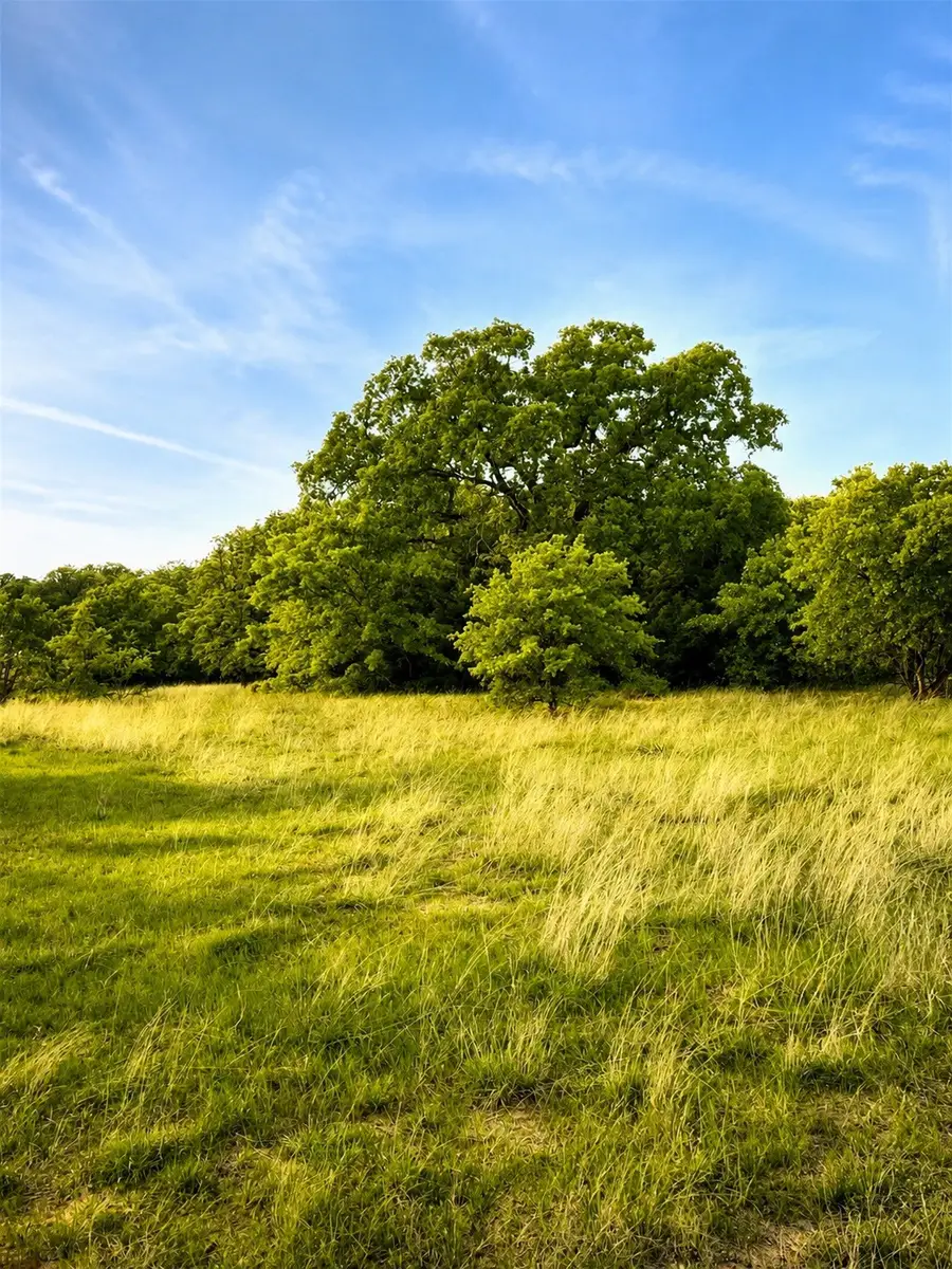 Lot 1 Pleasant Hill Road, Sunset, TX 76270 - #3