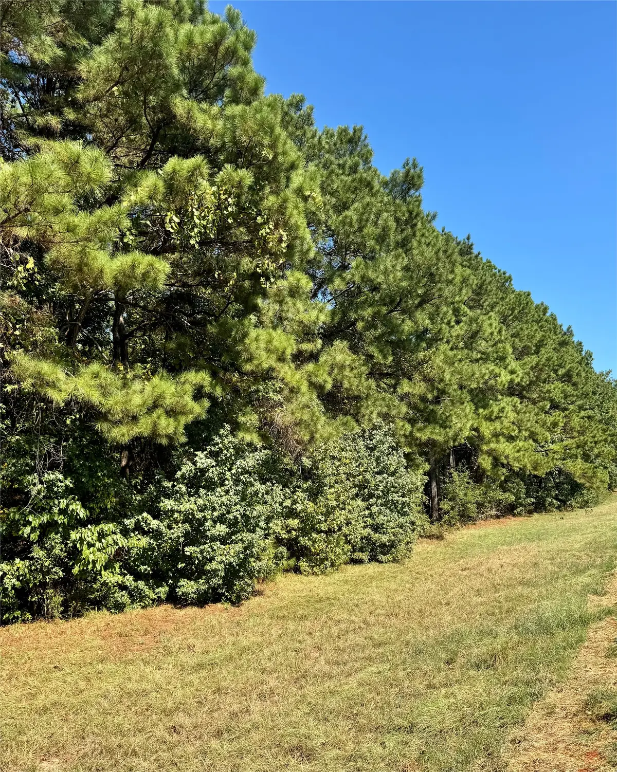 0 Hwy 9, Arcadia, LA 71001 - #1