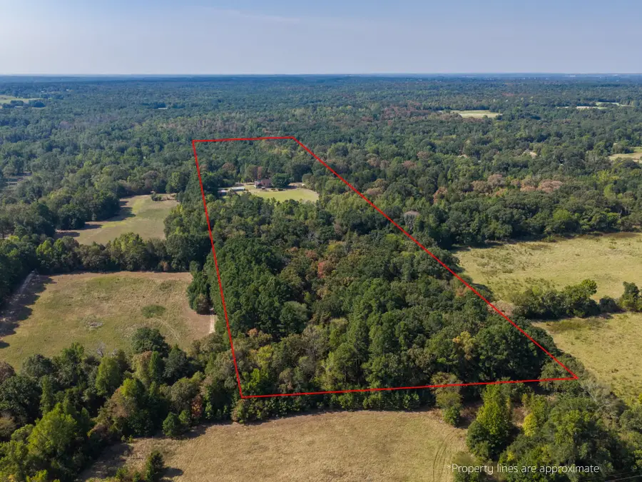 4475 County Road 3800, Athens, TX 75752 - #3
