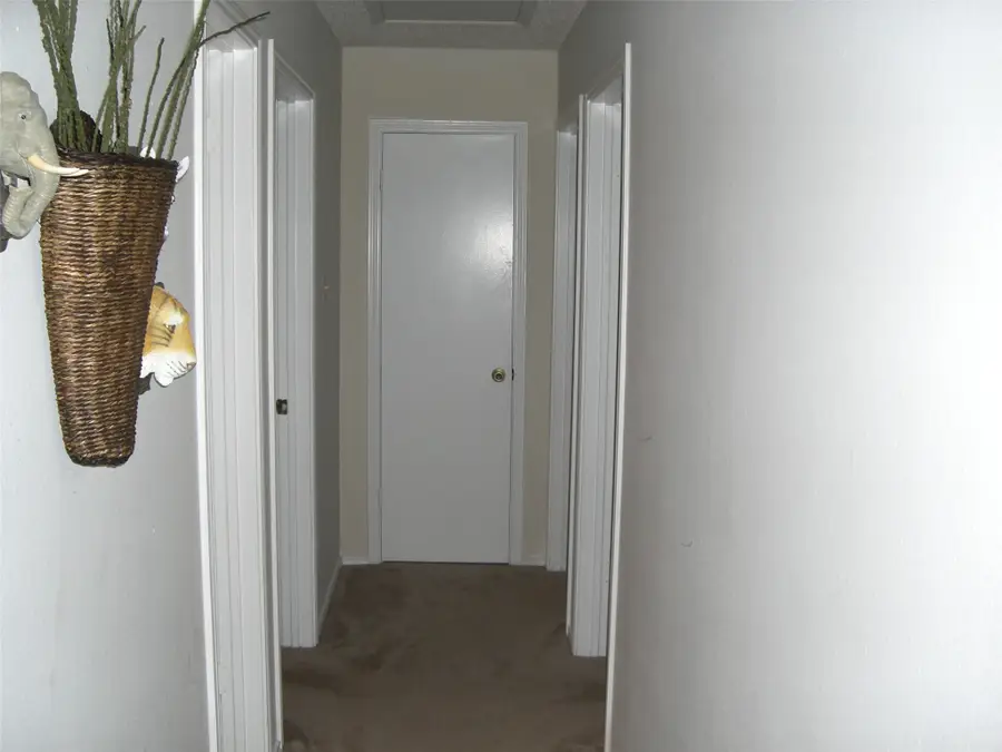 707 Lemons Street, Cedar Hill, TX 75104 - #3