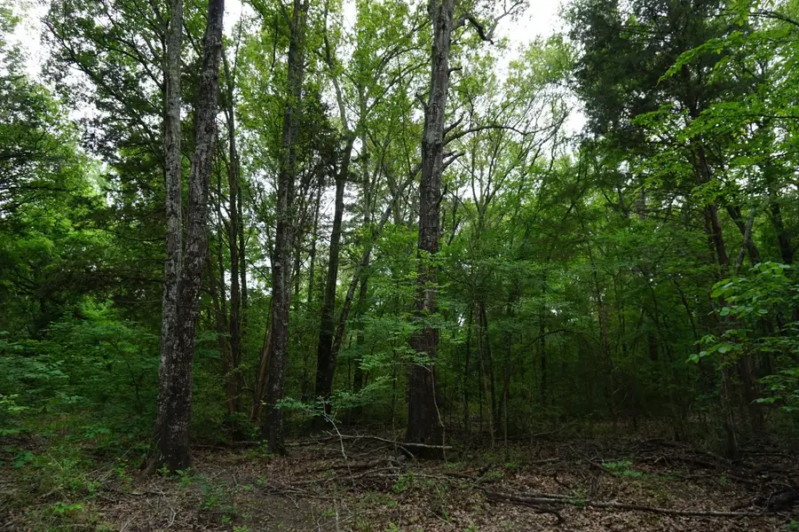 11919 County Road 1200, Malakoff, TX 75148 - #3