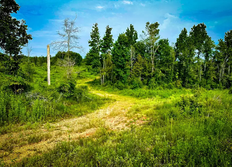 TBD Segno Fire Lane, Livingston Onalaska, TX 77371 - #2