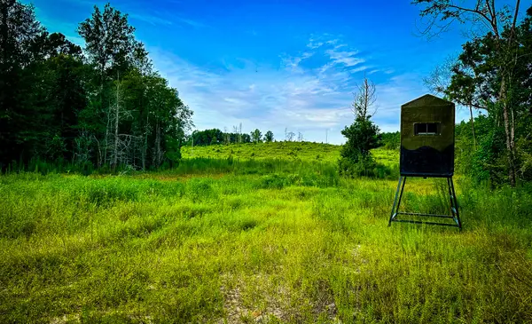 0000 Segno Fire Lane, Livingston, TX 77351