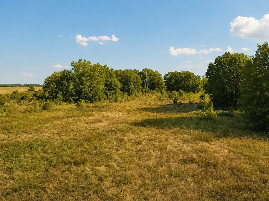 TBD Fm 410, Detroit, TX 75436 - #2