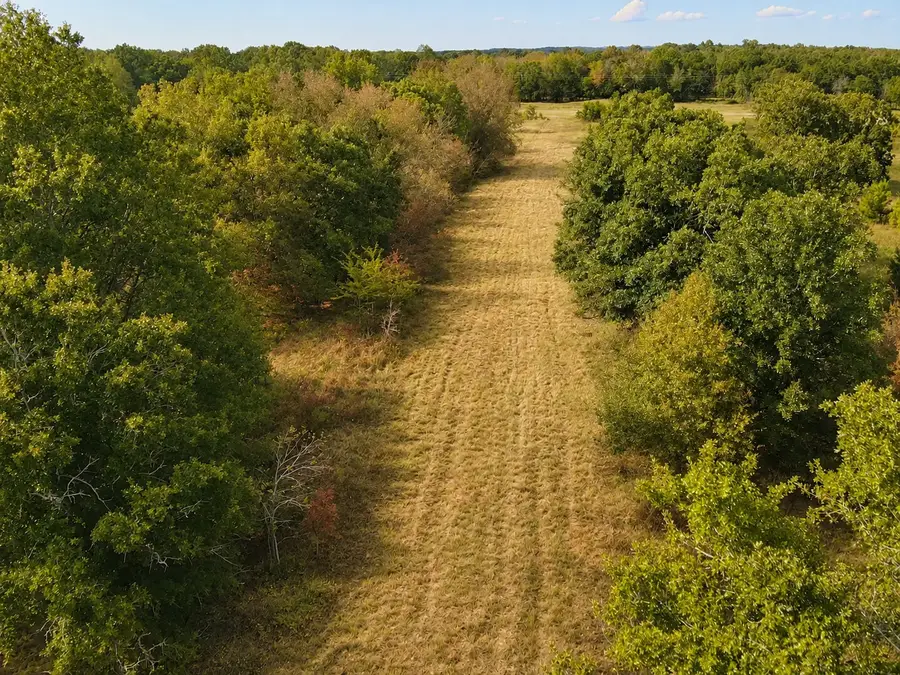 TBD Fm 410, Detroit, TX 75436 - #3
