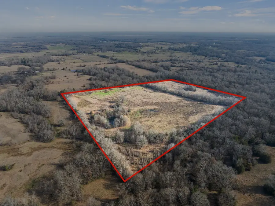 10 County Road 3357, Omaha, TX 75571 - #2