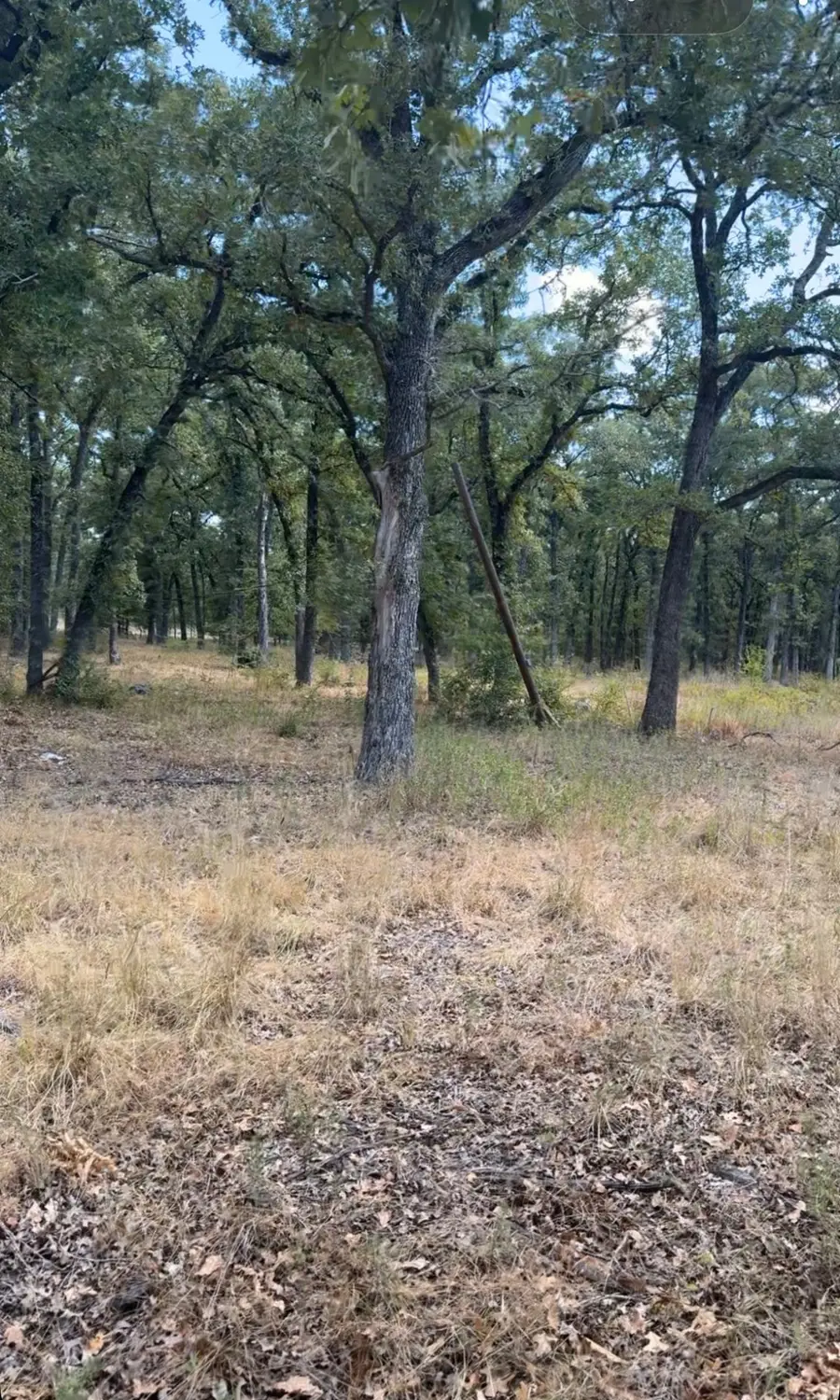 0000 R And R, Kemp, TX 75143 - #2