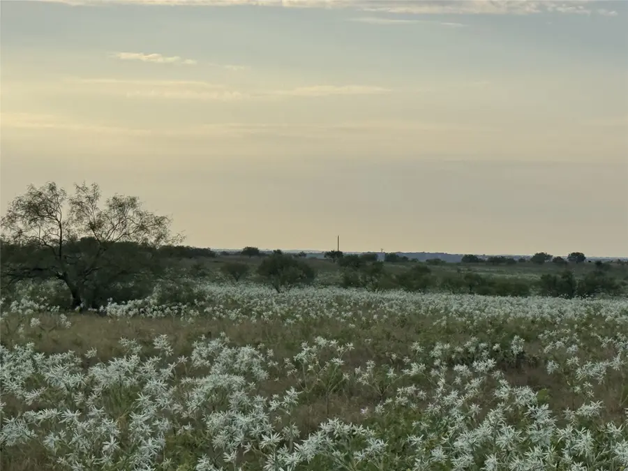 237 Private Road 4512, Decatur, TX 76234 - #2