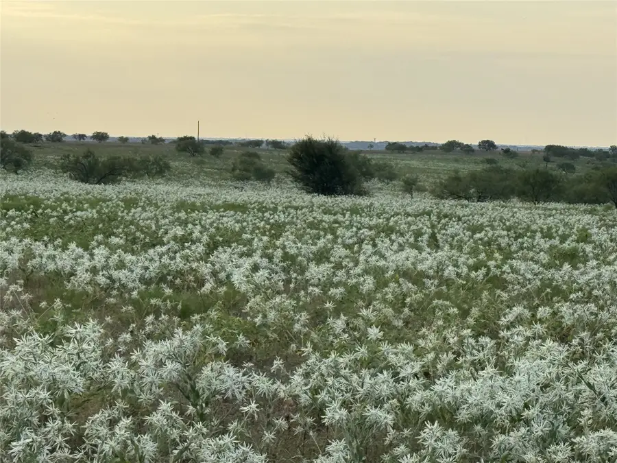 237 Private Road 4512, Decatur, TX 76234 - #3