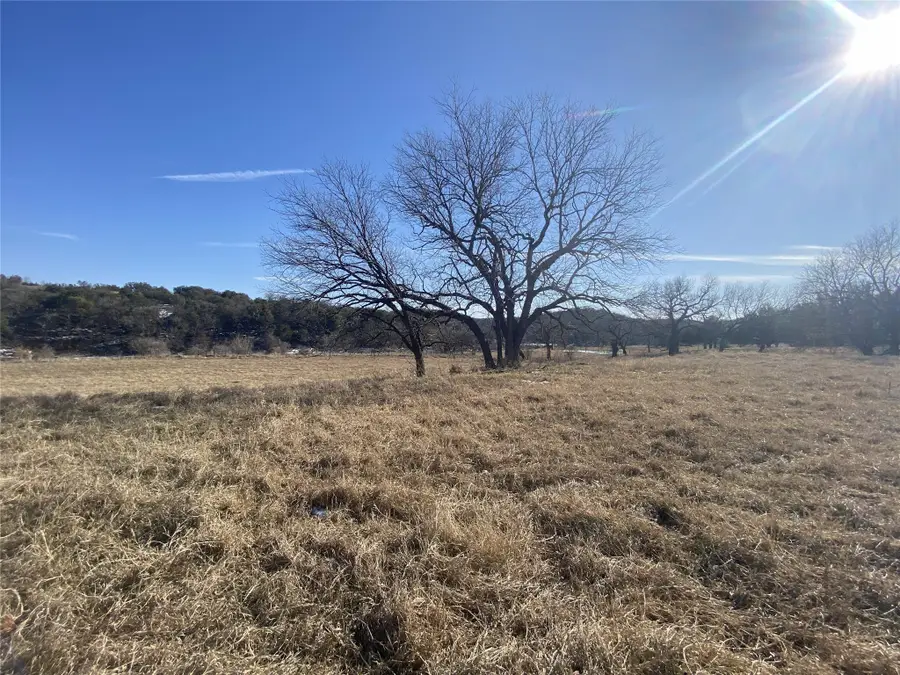 Lot 133 River Shoals, Mineral Wells, TX 76067 - #3