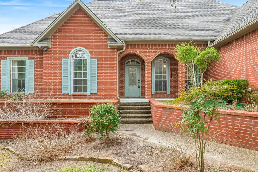 1304 Greenbriar Trail, Holly Lake Ranch, TX 75765 - #3