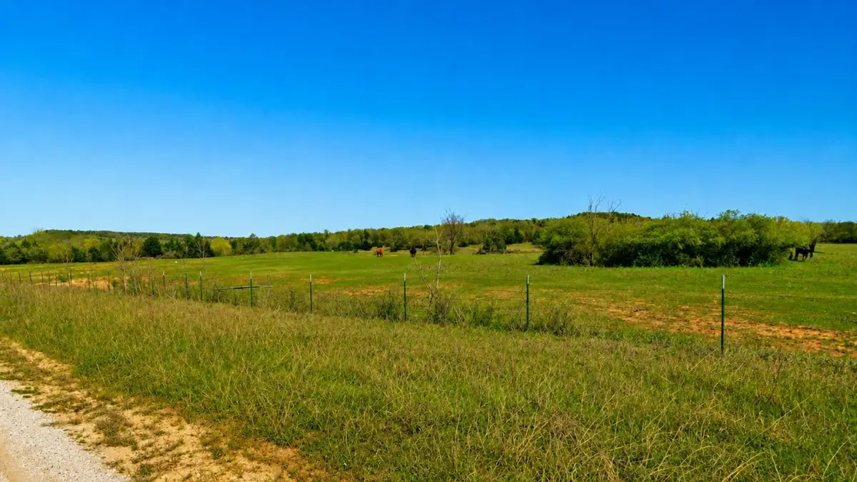 Lot 18 Parker Dairy Road, Forestburg, TX 76239 - #1