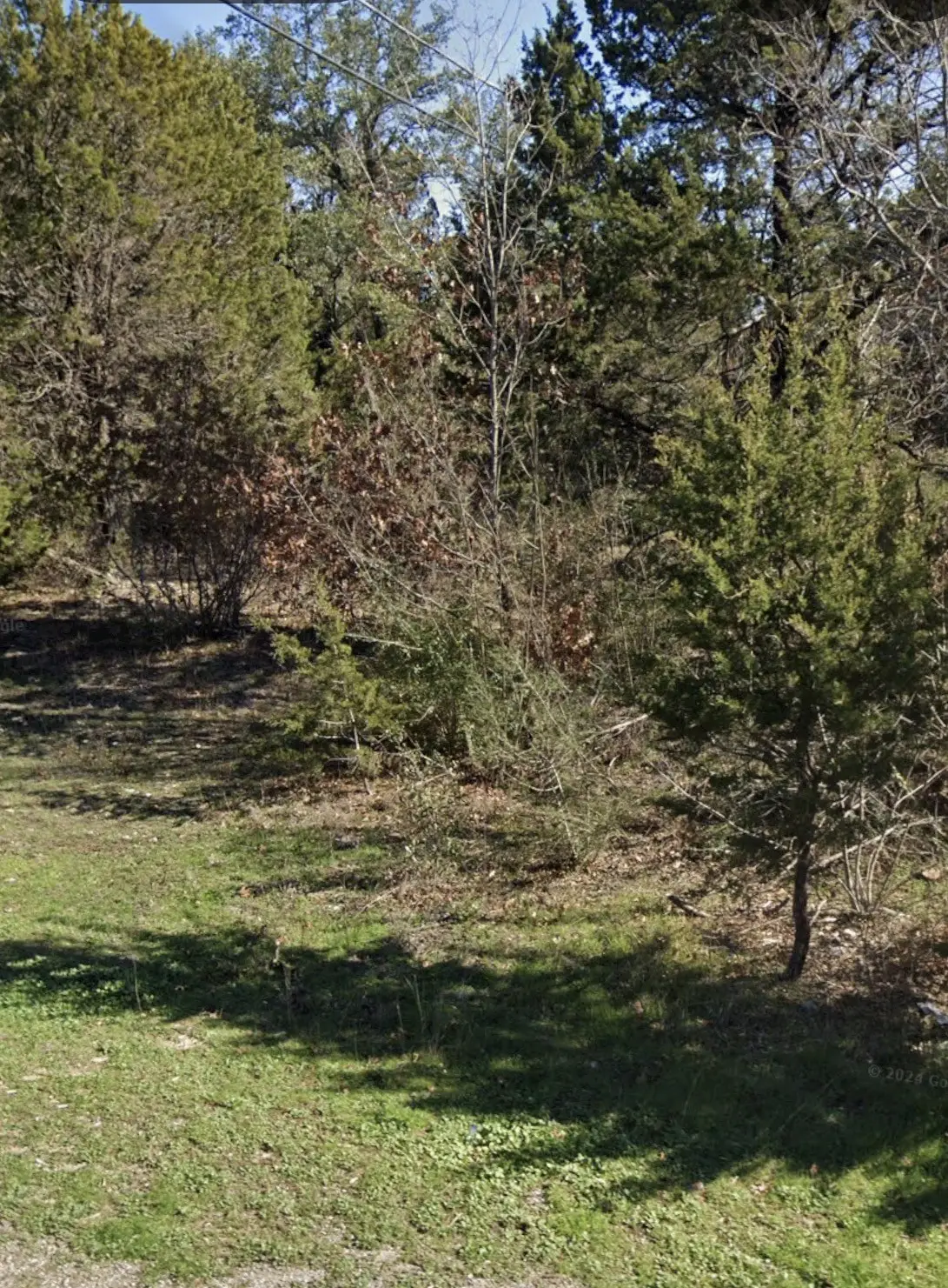 2725 Birch Street, Granbury, TX 76048 - #1