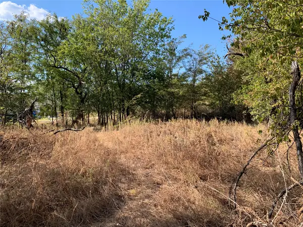 105 Bridlewood Lane, Bridgeport, TX 76426