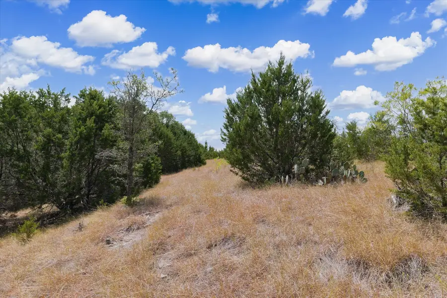 262 Grand Canyon Drive, Oglesby, TX 76561 - #3