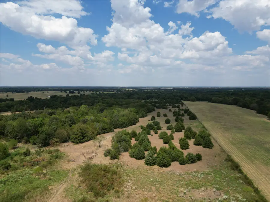50 acres County Road 1026, Celeste, TX 75423 - #2