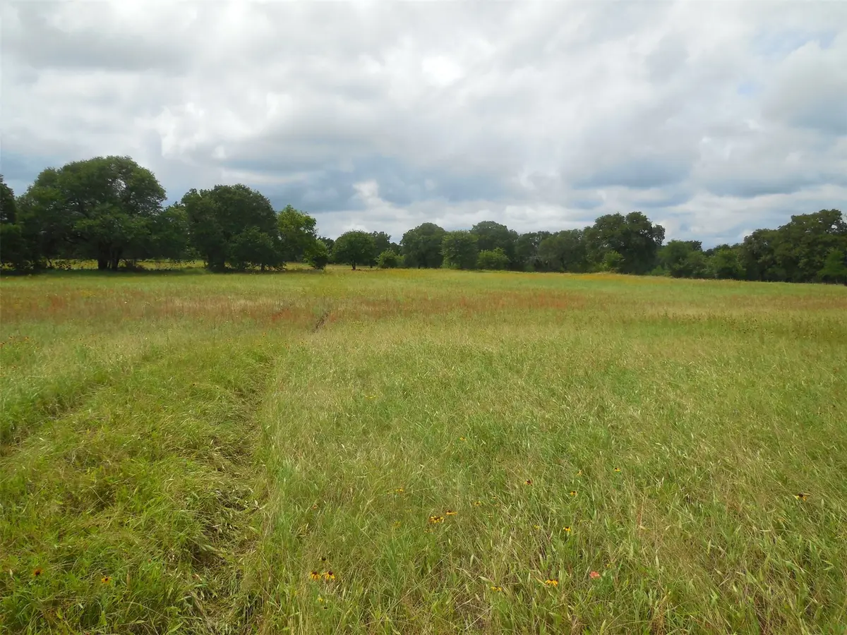 TBD County Road 488, Ranger, TX 76470 - #1