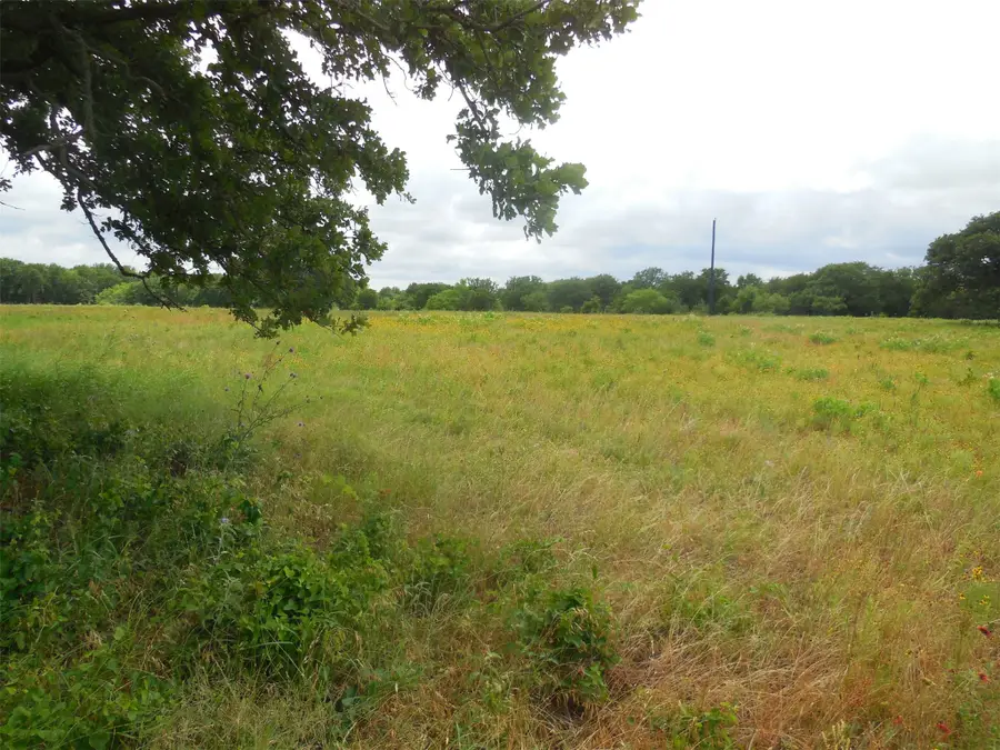 TBD County Road 488, Ranger, TX 76470 - #2
