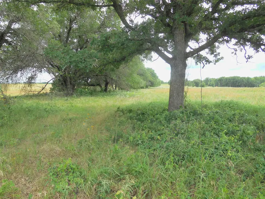 TBD County Road 488, Ranger, TX 76470 - #3