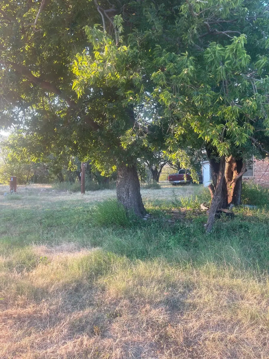 4750 Highway 1702, Gustine, TX 76455 - #3