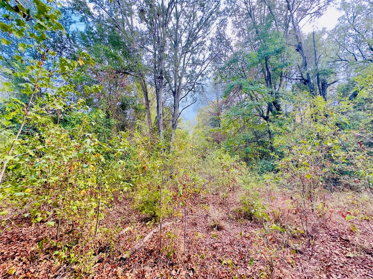 0000 Apple Tree Road, Gilmer, TX 75644 - #1
