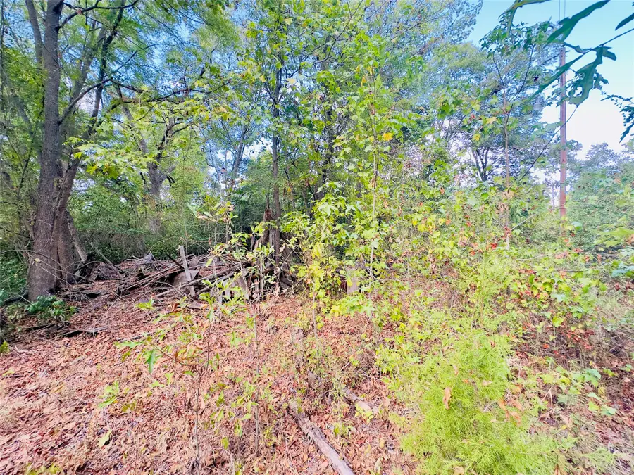 0000 Apple Tree Road, Gilmer, TX 75644 - #2