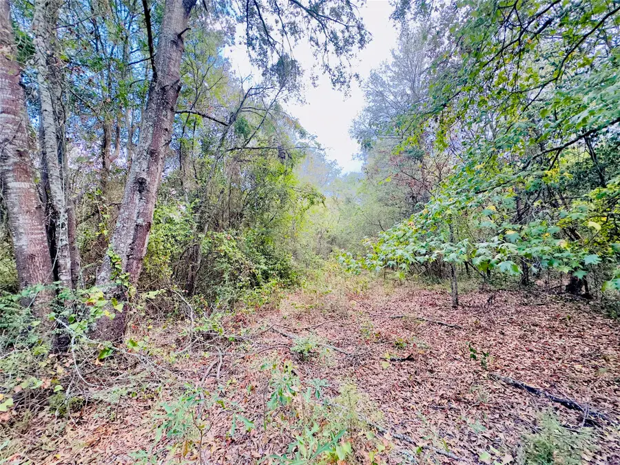 0000 Apple Tree Road, Gilmer, TX 75644 - #3