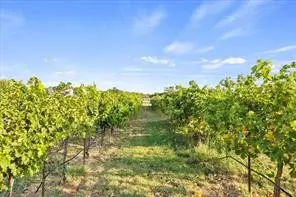 3399 S Peterson Road, Iowa Park, TX 76367 - #2