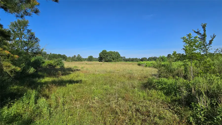 333 County Road 3092, De Berry, TX 75639 - #3