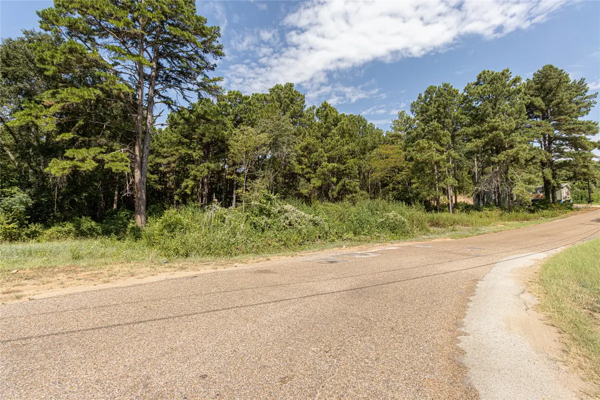 TBD Valley View, Frankston, TX 75763 - #1