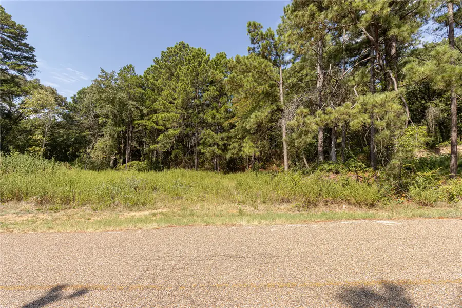 TBD Valley View, Frankston, TX 75763 - #2