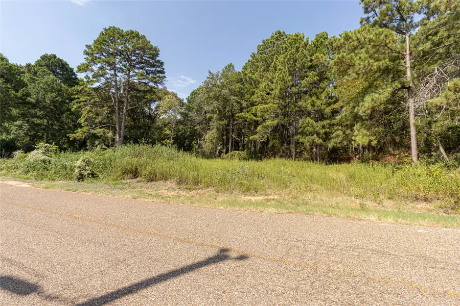 TBD Valley View, Frankston, TX 75763 - #3