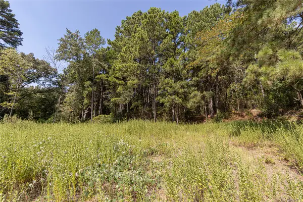 TBD Valley View, Frankston, TX 75763