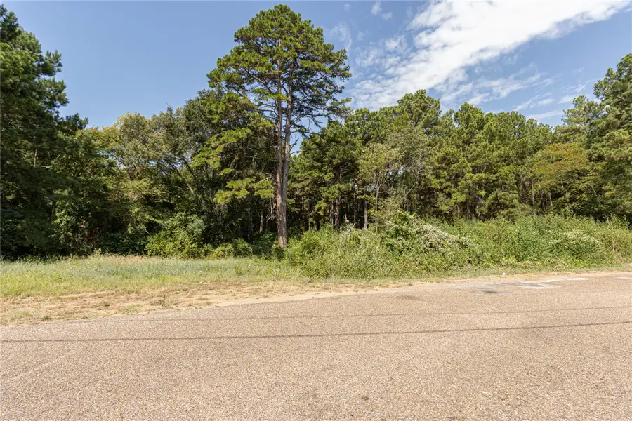 TBD Valley View, Frankston, TX 75763 - #2