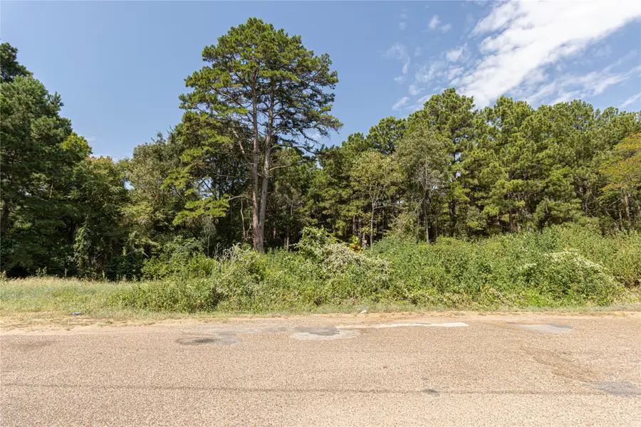 TBD Valley View, Frankston, TX 75763 - #3