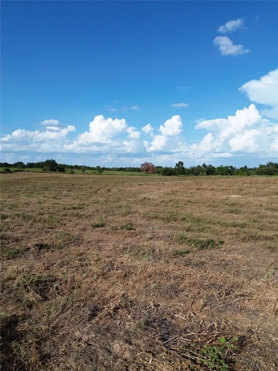 0 Grant Prairie Road #2, Franklin, TX 77856 - #2