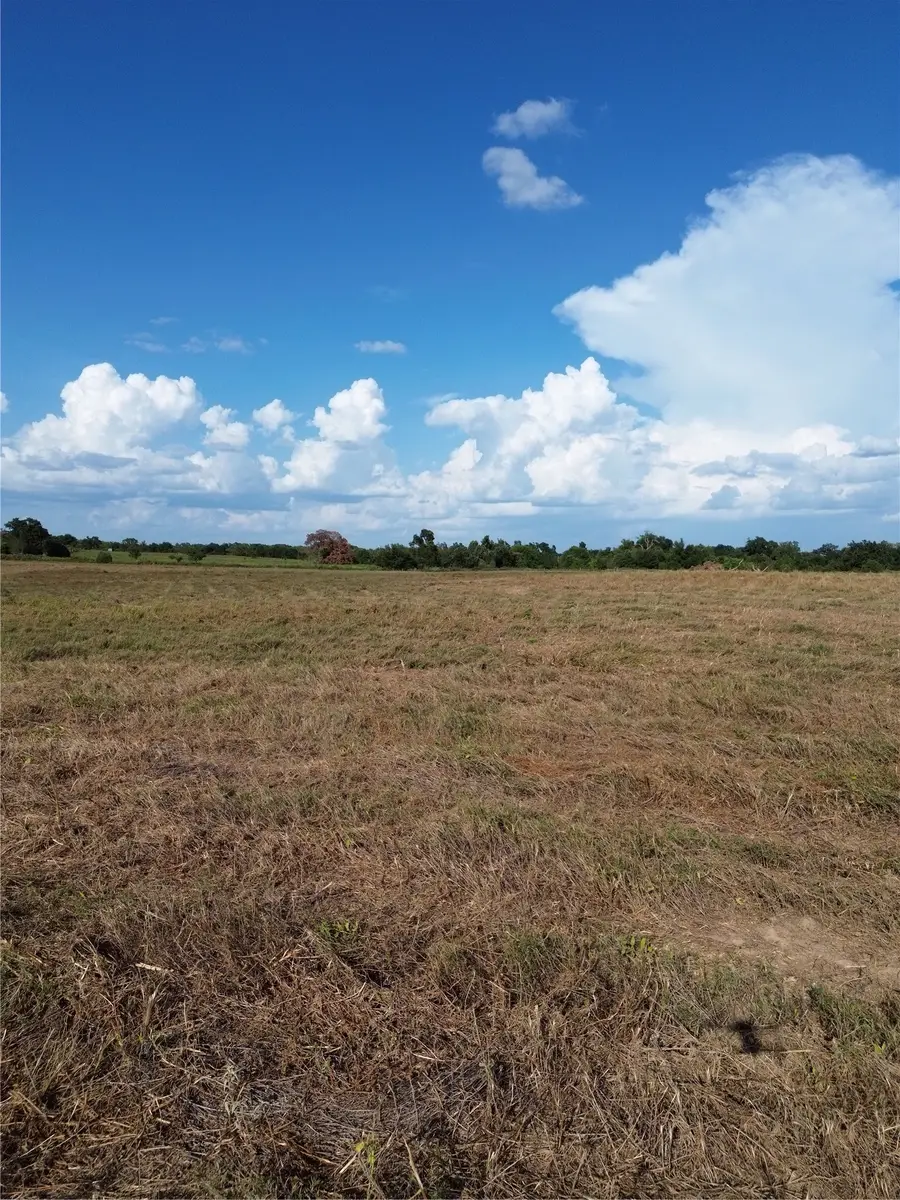 0 Grant Prairie Road #2, Franklin, TX 77856 - #3