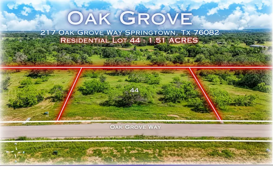 217 Oak Grove Way, Springtown Reno, TX 76082 - #2